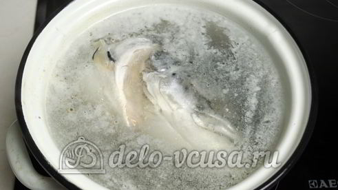 уха из головы семги