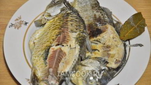 уха из карасей