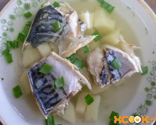 Уха из скумбрии