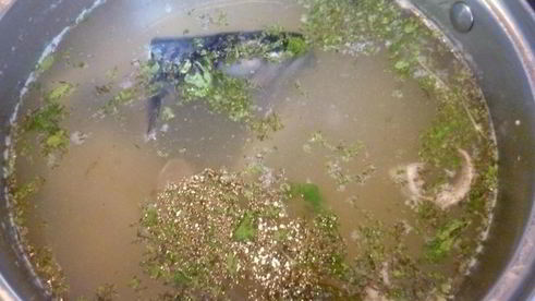 уха из скумбрии