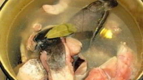 уха из сома