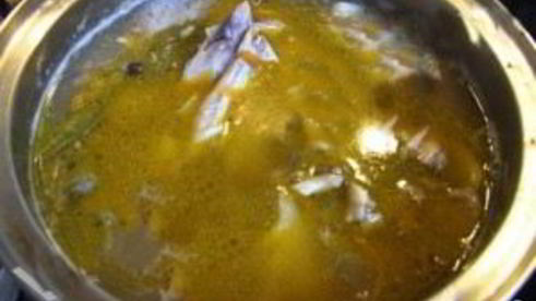 уха из сома