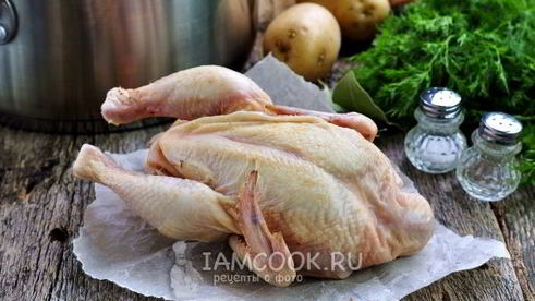 уха из стерляди