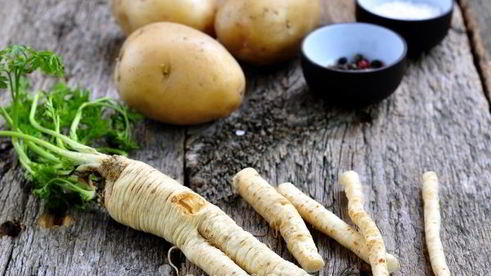 уха из стерляди