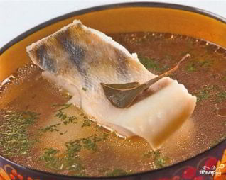 Уха из терпуга