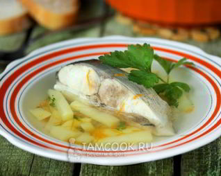 Уха из толстолобика