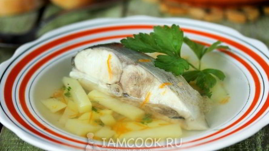 Рецепт ухи из толстолобика