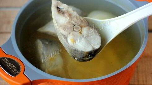 уха из толстолобика