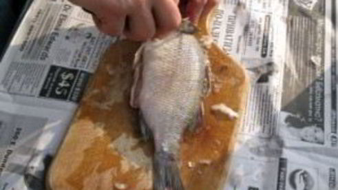 уха на природе