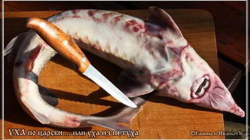 уха по-царски из петуха