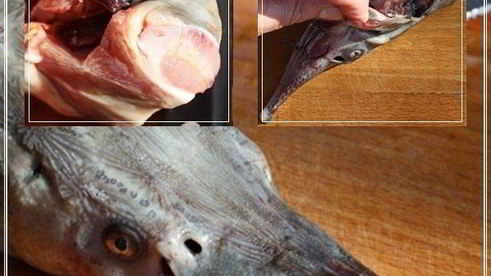 уха по-царски из петуха