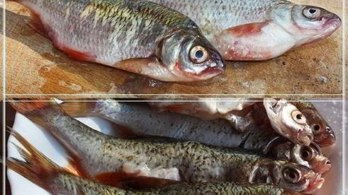 уха по-царски из петуха