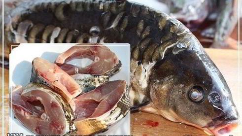 уха по-царски из петуха