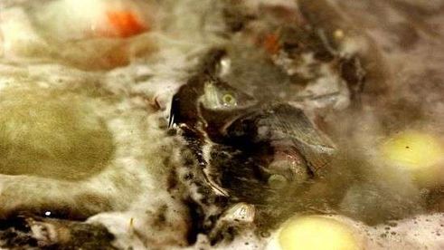 уха с речной рыбы