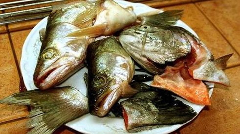 уха с речной рыбы