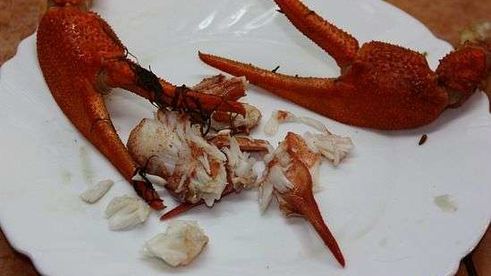 уха с речной рыбы