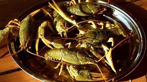 уха с речной рыбы