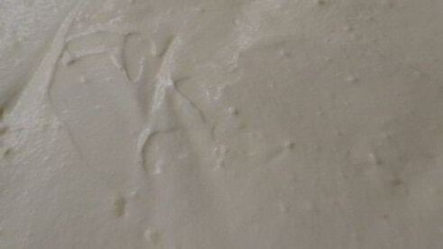 сливочный чизкейк с экзотической ноткой