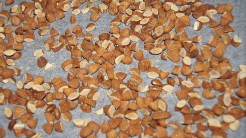 рождественский творожный штоллен