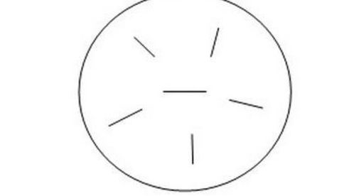 двухцветное печенье