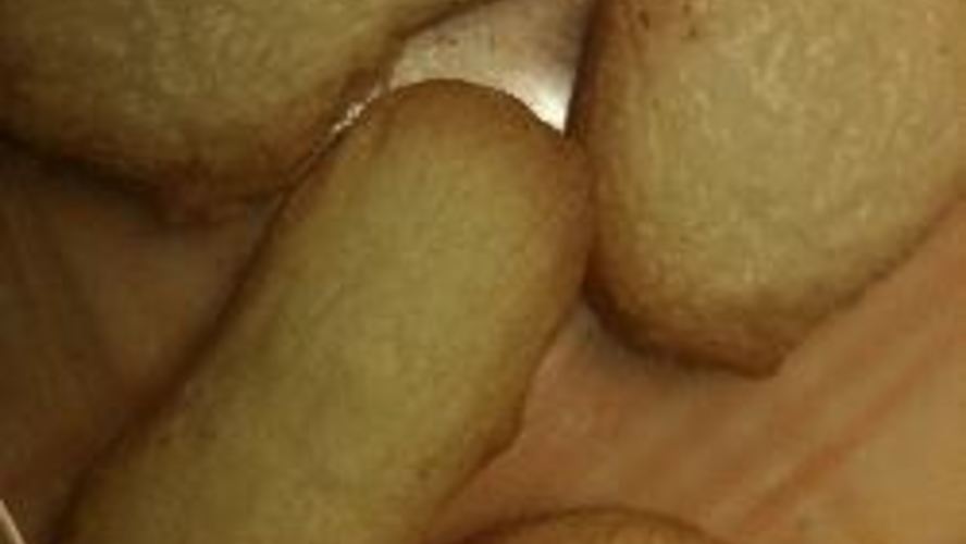 Рецепт печенья язычки