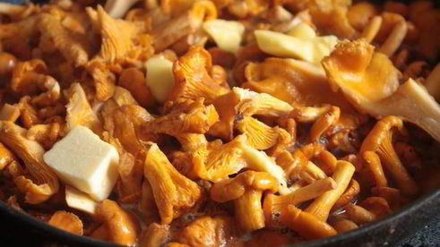 киш с лисичками и копченой уткой