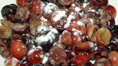 пирог с черешней, голубикой и десертным вином