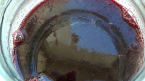 заварные пирожные нежность