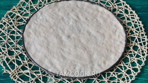 новогодняя пицца петушок