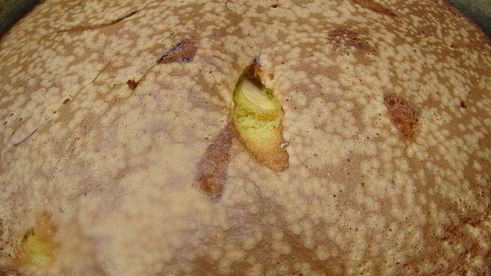 шарлотка из яблок