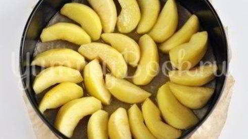 шарлотка перевертыш