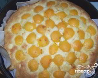 Шарлотка с яблоками и абрикосами