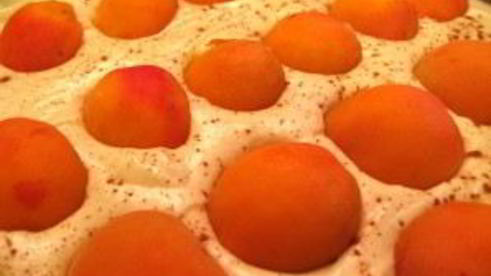 шарлотка с яблоками и абрикосами