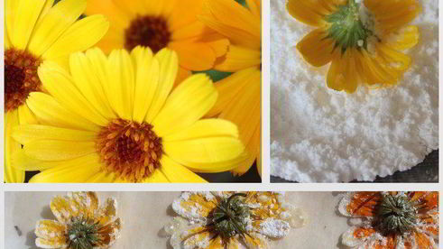 воздушный творожник на шоколадной основе