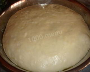 Хрущевское тесто сдобное дрожжевое