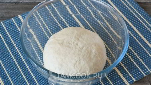 опарное дрожжевое тесто