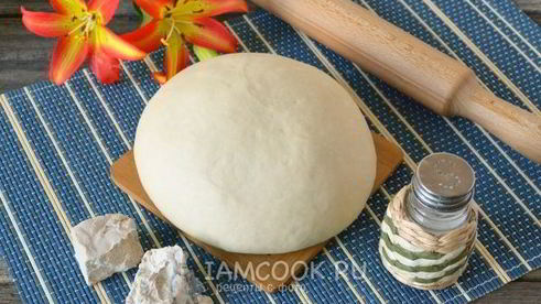 опарное дрожжевое тесто