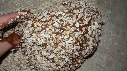 шоколадное тесто на дрожжах для выпечки