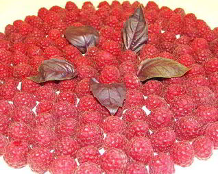 Торт Малиновый