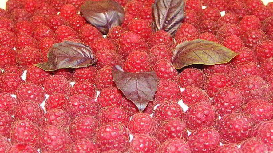 Рецепт торта малинового