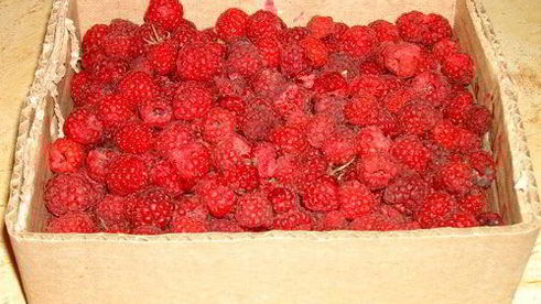 торт малиновый