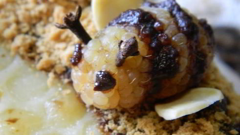 торт медовик