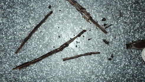 профитроли с ванильным заварным кремом