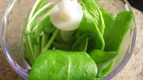 запеканка итальянцы в россии