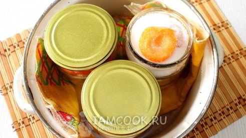 абрикосы в собственном соку на зиму