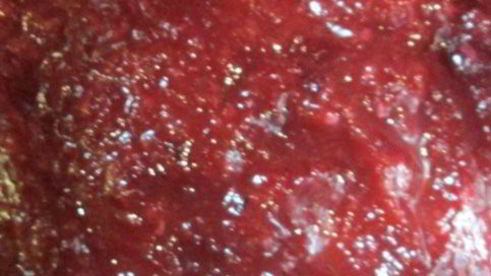 аджика из слив