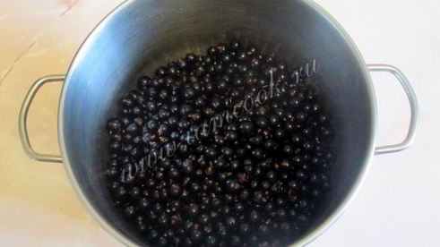 джем из черной смородины