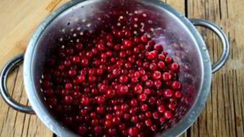 джем из красной смородины на зиму