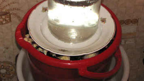 капуста квашеная пилюстка