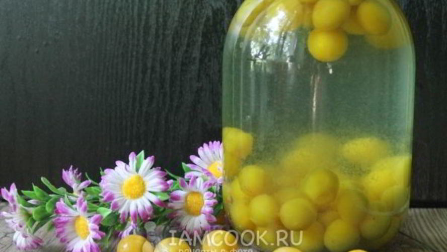 Рецепт компота из алычи на зиму